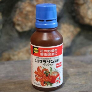 KINCHO園芸 (旧:住友化学園芸) マラソン乳剤 100ml 住友化学園芸 園芸用 殺虫剤