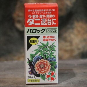 KINCHO| iFZFw|j obNtAu 20ml vʗet ZFw| |p E _j