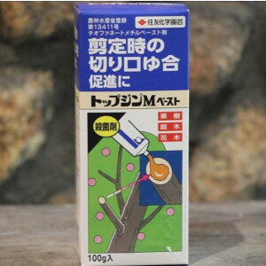 KINCHO���| �i���F�Z�F���w���|�j �g�b�v�W��M�y�[�X�g 100g�� �Z�F���w���| ���|�p ������