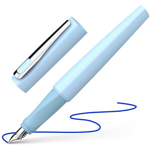 ViC_[ Schneider NM g TOMO 4FWJ J[gbWERo[^[p {K̔㗝X NbN|XgOK