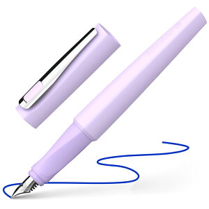 ViC_[ Schneider NM g TOMO 4FWJ J[gbWERo[^[p {K̔㗝X NbN|XgOK