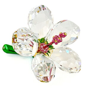 XtXL[ SWAROVSKI NX^ tBMA Florere nCrXJX (S) #5690534 CeA u 