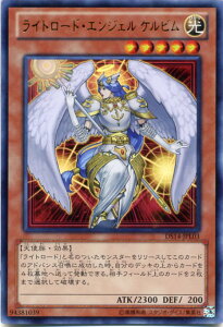 ���C�g���[�h�E�G���W�F�� �P���r���@�E���g�����A�@DS14-JPL03�@�������@���x��5�y�V�Y���J�[�h�z