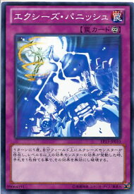 エクシーズ・パニッシュ　ノーマル　EP13-JP010　【罠カード】【遊戯王カード】