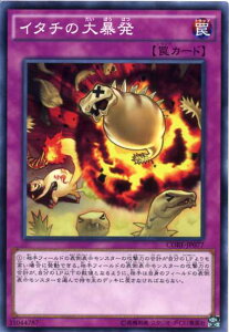 C^`̑\@m[}@CORE-JP077@ʏ㩁yVYJ[hz