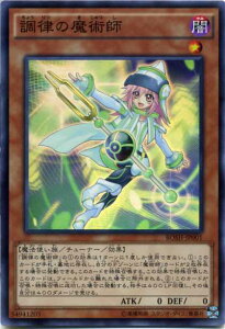 �����̖��p�t�@�X�[�p�[���A�@�ő����@���x��1�@BOSH-JP001�y�V�Y���J�[�h�z