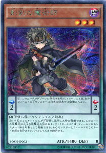 �����̖��p�t�@�V�[�N���b�g���A�@�ő����@���x��3�@BOSH-JP002�y�V�Y���J�[�h�z