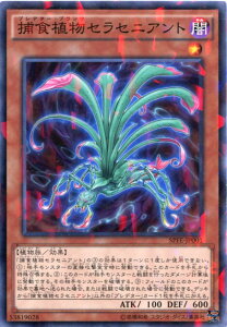 ߐHAZZjAgivf^[Evcj@m[}p@SPFE-JP001@VYJ[h@gX