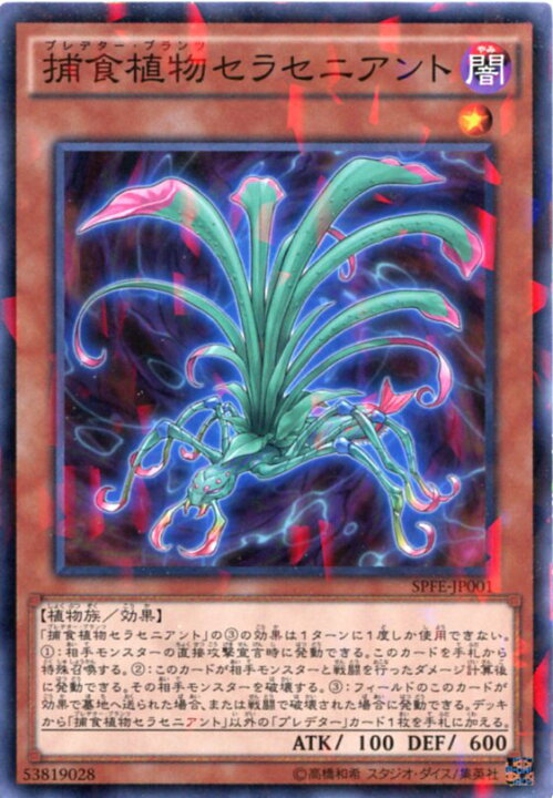 楽天市場】捕食植物セラセニアント（プレデター・プランツ） ノーマル 