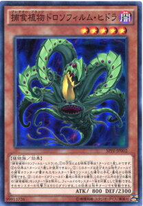 ߐHAh\tBEqhivf^[Evcj@X[p[A@SPFE-JP002@ő@x5yVYJ[hz