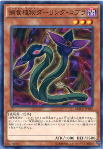 �ߐH�A���_�[�����O�E�R�u���@�m�[�}���@MACR-JP010�@�ő����@���x��3�@�V�Y���J�[�h