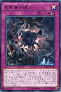 �^���c�̕����@���A�@MACR-JP069�@�i��㩁@�V�Y���J�[�h�@�g�X������