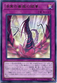 楽天市場 ブラックローズ 遊戯王の通販
