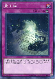 遊戯王 量子猫　ノーマル　SD32-JP037　永続罠