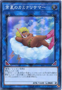 VY ẴJ~iT}[@X[p[A@SOFU-JP049  LINK-2