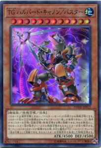 VY TG no[hELm^oX^[@X[p[A@DANE-JP012@n x12