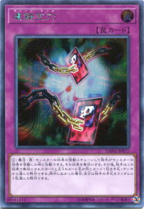 VY A󌊁i`F[Ez[j@V[NbgA@DANE-JP077@ʏ㩁@pX