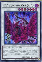 楽天市場】ブラック・ローズ・ドラゴンの通販