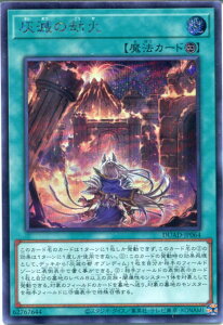 VY Dł̍΁iV[NbgAjDUAD-JP064 i@