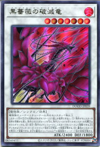 VY KN̔jŗ[uuE[YEhS]iEgAjDOOD-JP039 @x7