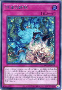 VY ̗[h~iXEXpC]iV[NbgAjDOOD-JP079 ʏ