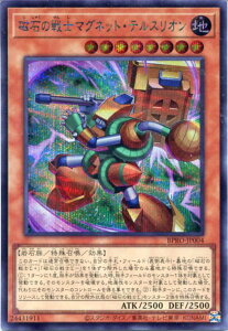 VY ΂̐m}OlbgEeXIiV[NbgAjBPRO-JP004 n@x8