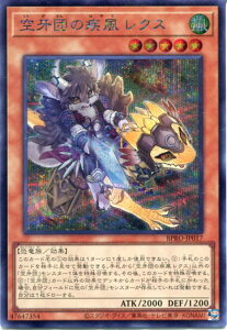 VY c̎ NXiV[NbgAjBPRO-JP017 @x5