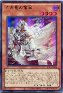 �V�Y�� �������̗����i�E���g�����A�jBPRO-JP024 �ő����@���x��4