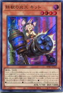 �V�Y�� �S�b�̉��H �L�b�g[�g���C�u���Q�[�h�E�X�v���K���Y ]�i�X�[�p�[���A�jBPRO-JP025 �������@���x��4