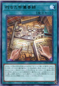 �V�Y�� �������ՋV�v�^�i���A�jCORI-JP062�@�ʏ햂�@