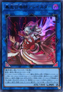 �V�Y�� �\�������t�A���C�X�^�[�i�E���g�����A�jCORI-JPS02 �ő����@LINK-2