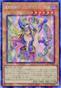 �V�Y�� ���p�t�̒�q-�u���b�N�E�}�W�V�����E�K�[���i�R���N�^�[�Y���A�jYAC1-JP035 �ő����@���x��6