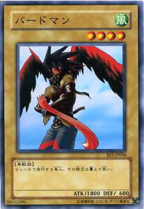 �o�[�h�}���@�m�[�}���@BE1-JP094�@�V�Y���J�[�h