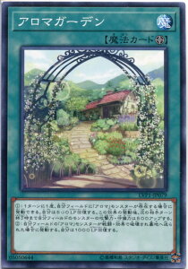 VY A}K[f m[}@tB[h@ LVP1-JP079