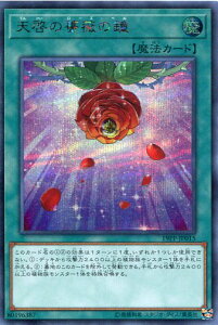 V[KN̏i[Yxj@19PP-JP015 V[NbgA@ʏ햂@yVYJ[hz킸ȃX