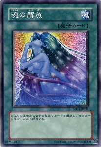 ̉@m[}@SD14-JP021@yVYJ[hz