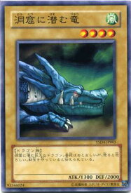 洞窟に潜む竜　ノーマル　YSD4-JP005　【遊戯王カード】