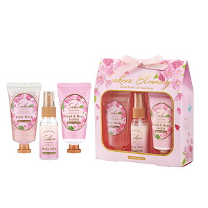 TN oX{fB[PAZbg e}UN ( {fB[EHbV / nh{fB[[V / {fB[~Xgj