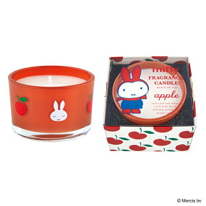 miffy ~btB[ tOXLh 񂲂̍ 15