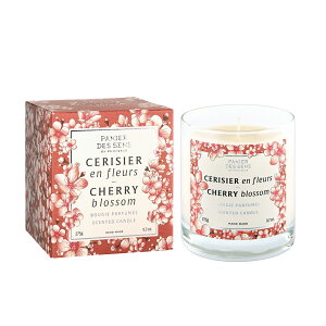 pjGfTX z[ ZeBbhLh 50 b Rbgt[ / `F[ubT / V_[tHXg / tBOc[ | PANIER DES SENS