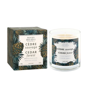 pjGfTX z[ ZeBbhLh 50 b Rbgt[ / `F[ubT / V_[tHXg / tBOc[ | PANIER DES SENS