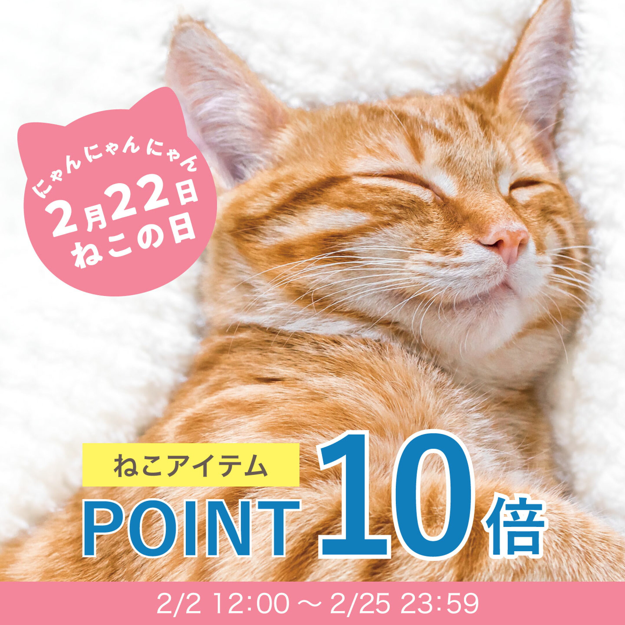 ねこアイテムポイント10倍！