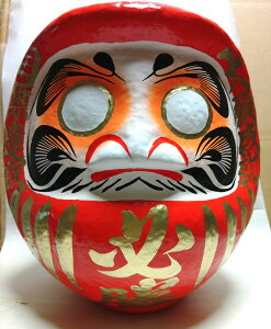 KFG K  10 TCY 30cm K_} KB I 肾 DF