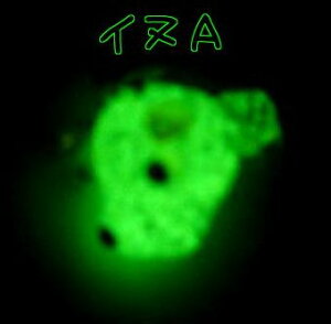 ~KX Xgbv CkA ~     gуXgbv