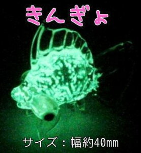 ~KX׍H NAKX ~KX fL  TCY 40mm