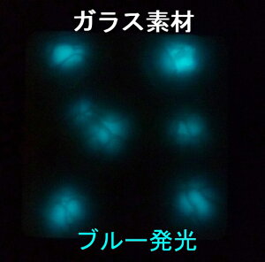 ~KX^C 100mmpqr͗l@u[