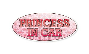 PRINCESS IN CAR XebJ[ ̗t ͗l sN a vZX PlĂ܂ ̎q LbYCJ[  V[ S pfB