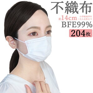 14cm   sDz }XN  zCg 50 {1 4pbN(204) BFE99% y  z ĝ w ̃}XN