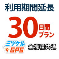 【30日間 期間延長プラン】レンタルプラン・返却不要プラン共通 全商品対応 gps 追跡 小型