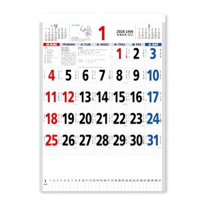 V{J_[ 2026N J_[ Ǌ| t\ N\t NK181 